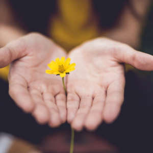 hands with a flower