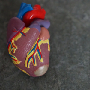 Small square image 1